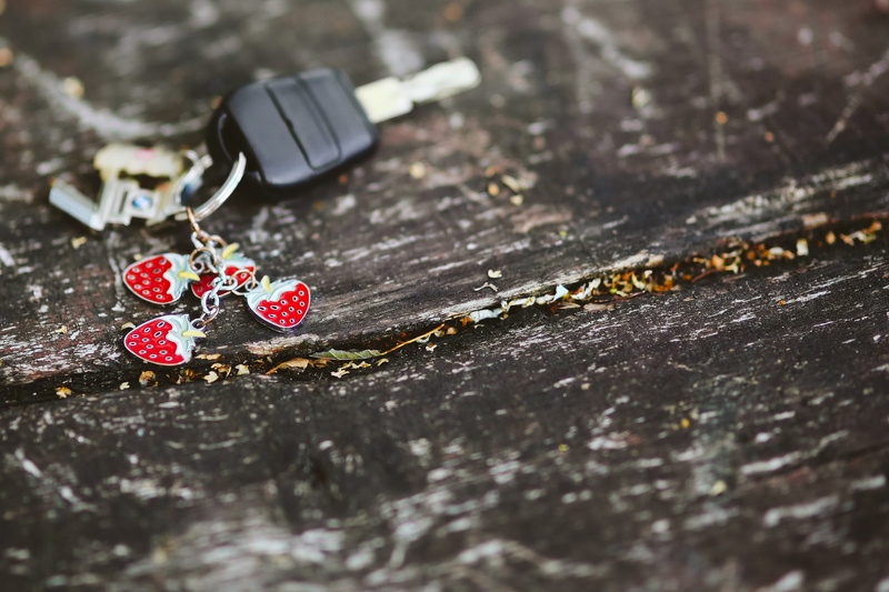 red, 4K, key ring, bark, nature, personal accessory, no people, wooden, selective focus, wood, water, flower, food, beauty in nature, car key, outdoors