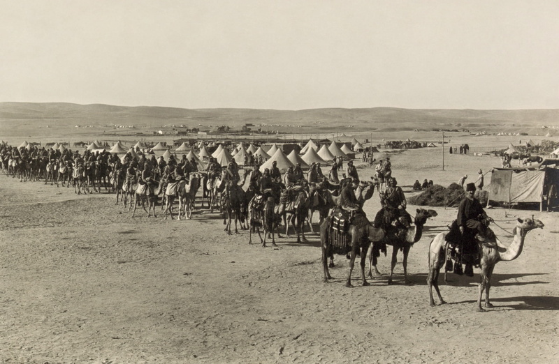 group of people, grayscale, domestic, saudi arabia, mammal, running, wwi, photo, Caravan, nature, riding, world war i, camel, transportation, Beersheba