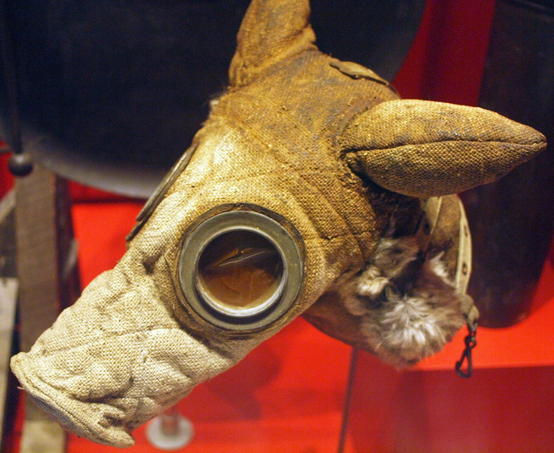 War, Dog, safety, animal, animal nose, war, red, Safe, indoors, Gas, animal eye, animal head, Animal, pets, domestic animals, mammal, ww1, one animal, reptile
