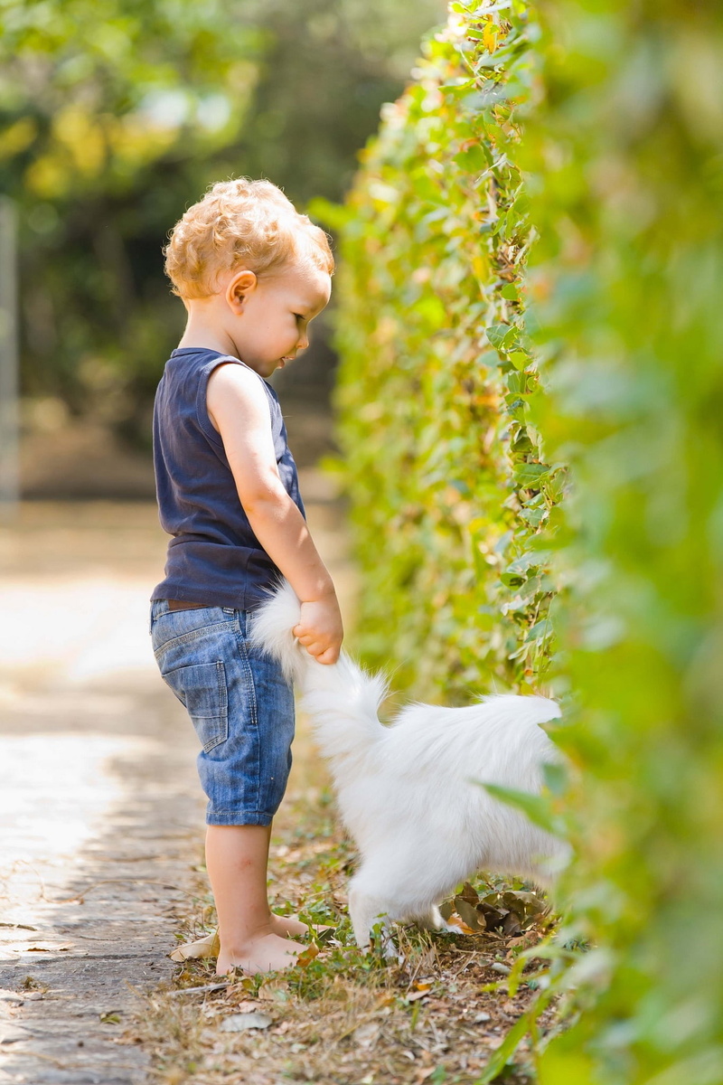innocence, one animal, holding, boys, top, childhood, hair, people, males, white, tank, outdoors, playing, mammal, toddler, happy, standing, child, children only