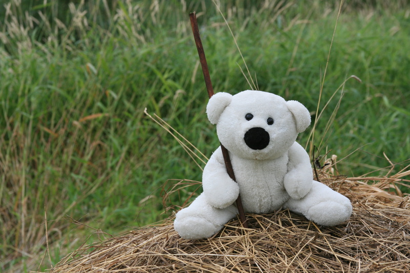 child, focus on foreground, sitting, walk, animal representation, representation, animal, gray, small, grass, white, 4K, fur, mammal, toy, day, plant