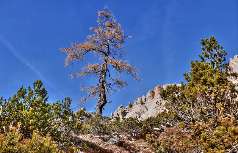 environment, dolomites, summer, no people, alpine panorama, italy, clear sky, low angle view, alpine, nature, change, rock, semi-arid, alta badia, rubble field
