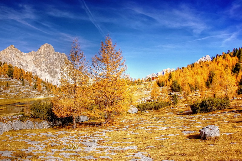 cloud - sky, view, non-urban scene, forest, mountains, coniferous tree, pine woodland, hiking, unesco world heritage, alpine, pine tree, change, scenics - nature
