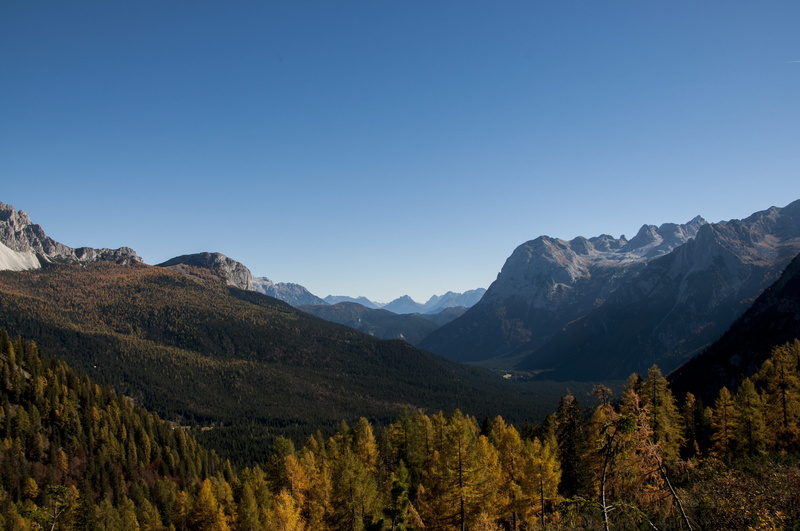 nature, tree, 4K, blue, scenics - nature, mountain peak, coniferous tree, mountain, no people, tranquility, forest, environment, idyllic, copy space, non-urban scene