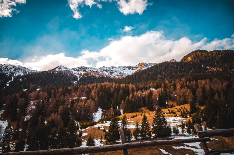 day, fir, nature, environment, landscapes, spring, tranquil scene, mountains, italy, outdoors, landscape, mountain, cold temperature, tree, mountain range