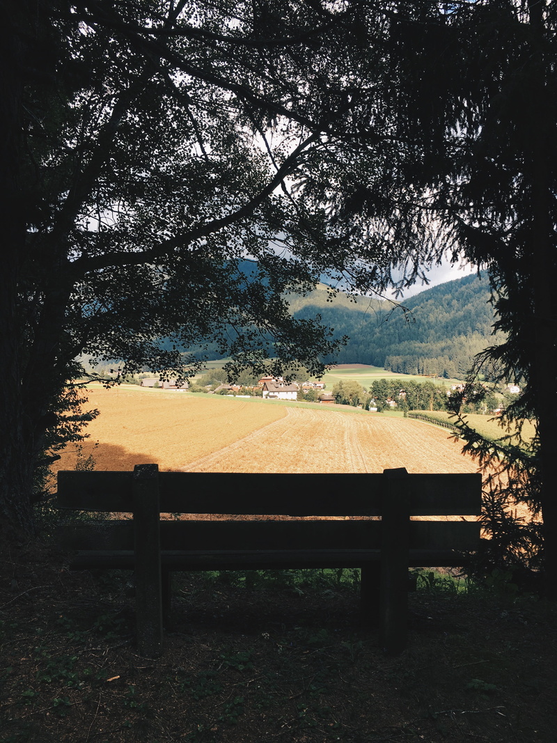 land, mountain, park, environment, point of view, landscape, wheat field, field, tree, park bench, beauty in nature, empty, tranquil scene