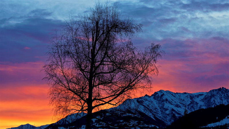mountains, rest, bare tree, sunrise, bright red, no people, romantic sky, horizon, outdoors, tree, plant, mood, red, sky, tranquil scene, switzerland, wake up