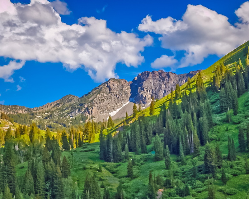 nature, alta, mountain range, mountain peak, alta ski area, no people, scenics - nature, green color, environment, idyllic, 5K, forest, outdoors, formation