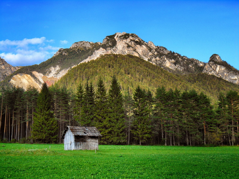 environment, grass, forest, prato, meadows, 5K, tree, beauty in nature, landscape, non-urban scene, blue, mountains, tranquility, trees, outdoors, no people