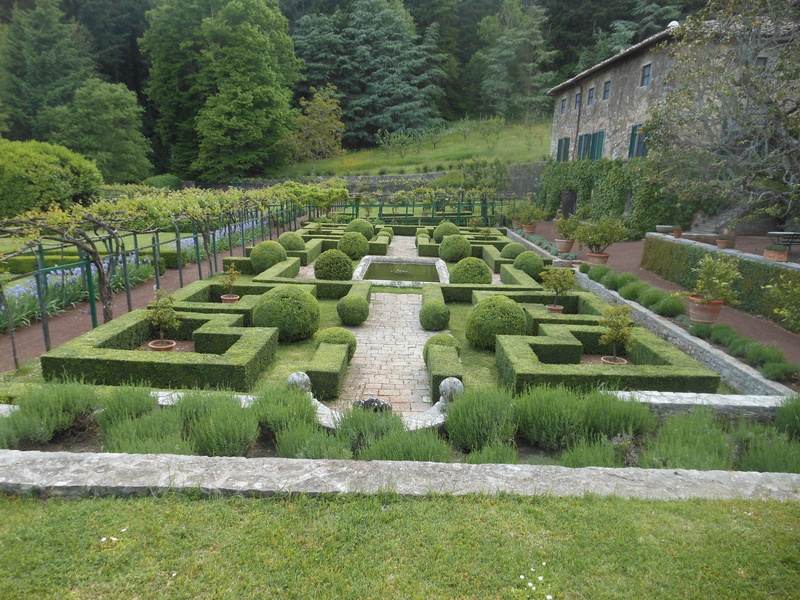 tree, day, beauty in nature, badia coltibuono, hedge, cemetery, topiary, plant, nature, no people, grass, siena, gardens, italy, grave, architecture, green color