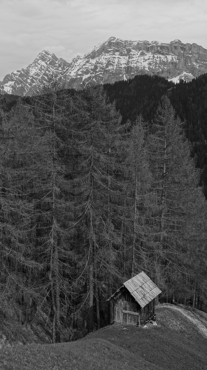 stone cross, outdoors, architecture, black and white, cold temperature, plant, day, val badia, no people, mountains, built structure, snow, tree, nature