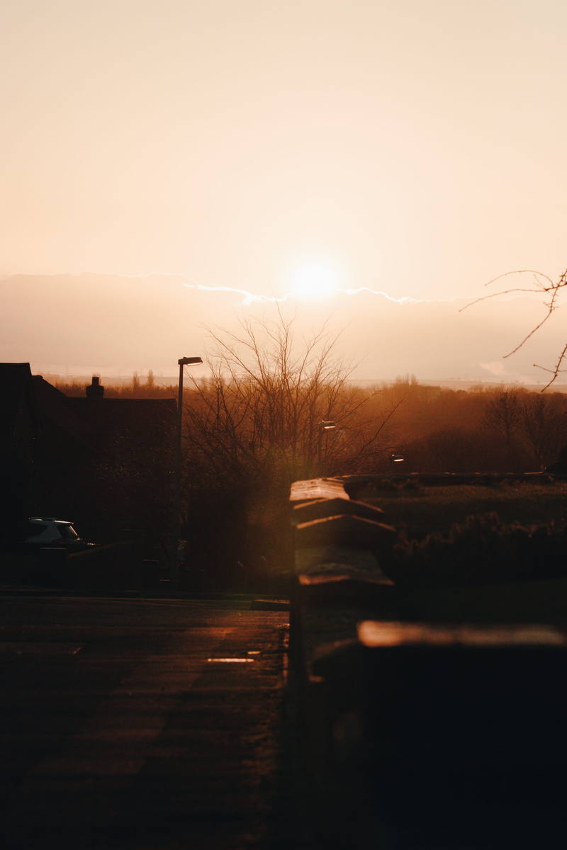 architecture, trees, sun, nature, outdoors, light, sunlight, street, leading lines, road, plant, no people, sunrise, environment, united kingdom, beauty in nature