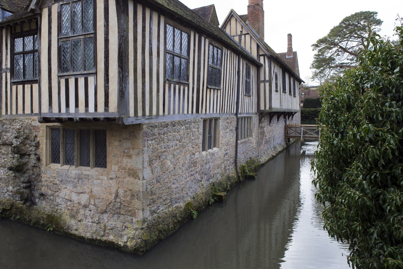 building, growth, water, outdoors, plant, house, historic, ightham mote, river, day, uk, leaded lights, kent, moated house, building exterior, 5K, tree