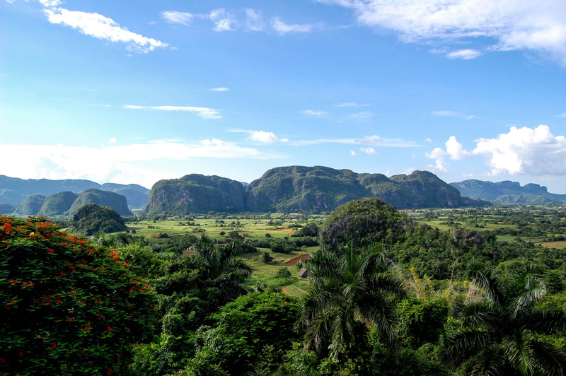 tranquility, 2K, tranquil scene, landscape, tree, mountain, green color, vinjales, beauty in nature, plant, cloud - sky, day, non-urban scene, trees, idyllic