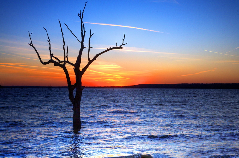 sky, SOE, Lake  Lawrence, Mercury, beach, Sea, sun, sunset, bare, silhouette, dusk, photo, Clinton Lake, nature, 4K, summer, tree