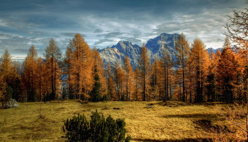 view, nature, tranquil scene, field, hike, antelao, alm, plant, 2K, growth, dolomites, environment, outdoors, beauty in nature, land, mountains, blue