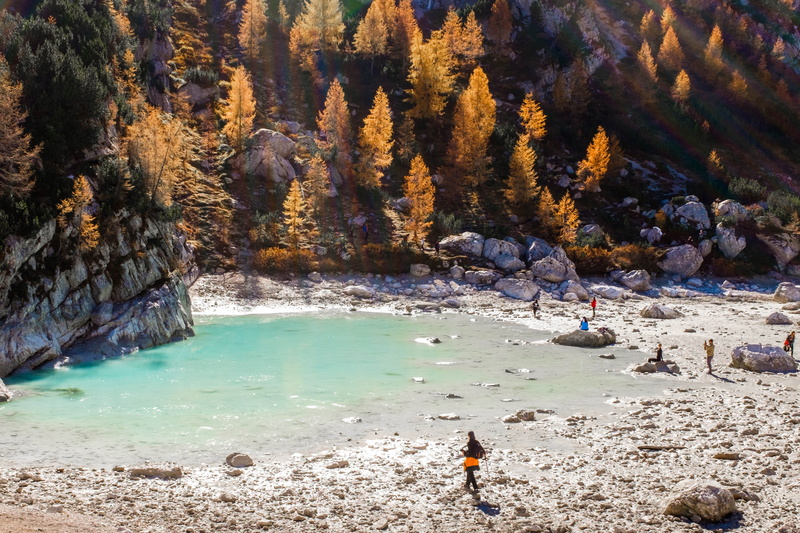 men, photowalk, italy, body, plant, real people, tree, boulder, people, land, rock - object, sorapiss, beside, standing, beauty in nature, lake, nature