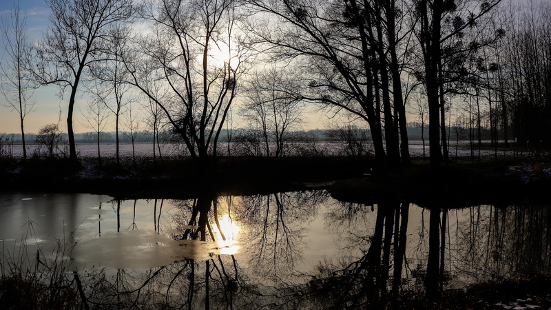 austria, naarn im machlande, landscape, 4K, europe, december, reflection, frost, winter, pond