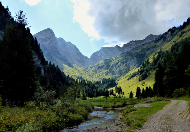 scenics - nature, photography, alps, no people, france, cloud - sky, cloudy, no person, beauty in nature, plant, land, pine tree, path, non-urban scene
