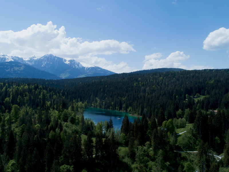 4K, water, switzerland, forest, remote, growth, crestasee, non-urban scene, tree, tranquil scene, beauty in nature, no people, sky, auas sparsas, plant