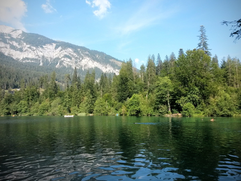plant, graubünden, 2K, nature, outdoors, non-urban scene, scenics - nature, landscape, water, trin, sky, growth, day, tranquil scene, bergsee, beauty in nature