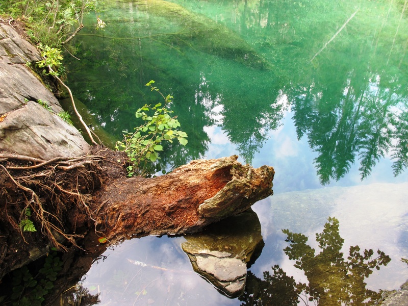 rock - object, green color, tree, lake cresta, reflection, tranquil scene, lake, plant, tranquility, day, solid, water, outdoors, firs, scenics - nature