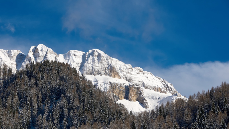 outdoors, coniferous tree, italy, beauty in nature, 2K, ice, travel destinations, snow, white, plant, wintry, blue white, cloud - sky, environment, scenics - nature