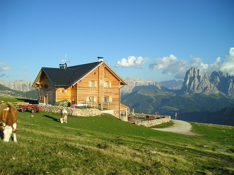 dolomites, grass, raschoetzhuette, mammal, landscape, mountain, 1080P, switzerland, two, near, agriculture, canine, brown, one animal, europe, nature
