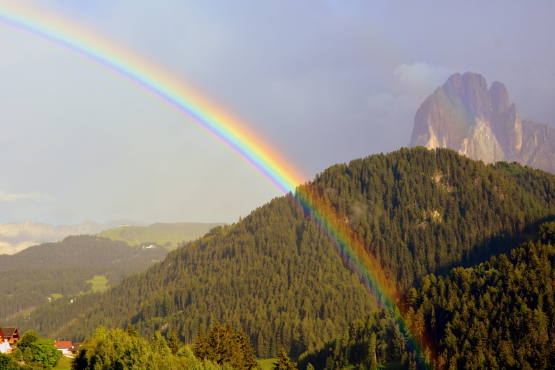 mountain, forest, day, beauty in nature, rainbow, environment, tranquil scene, tranquility, landscape, mountain range, multi colored, outdoors, scenics - nature