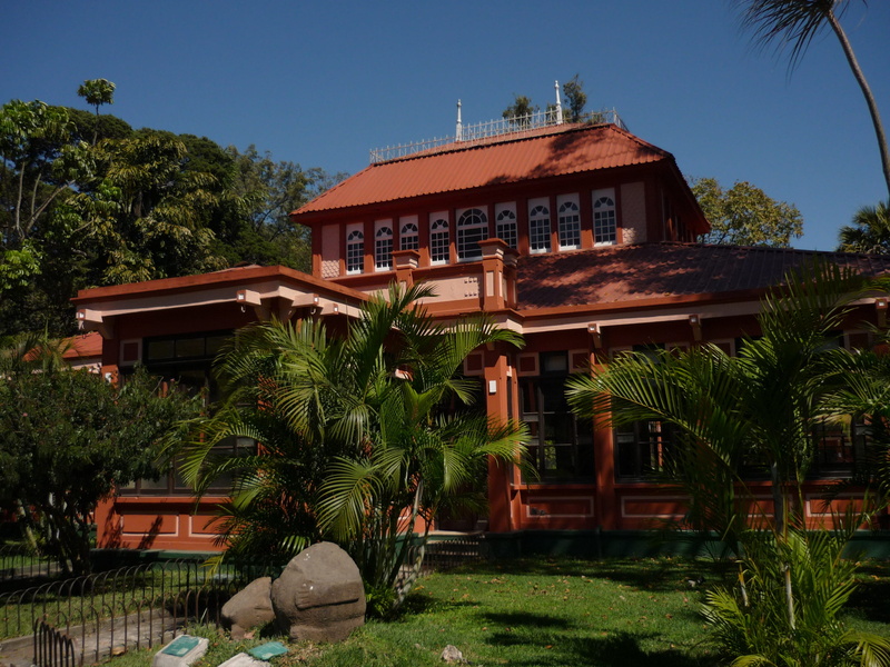 Casa de Te, palm tree, garden, arbour, La Aurora Zoo, 2K, tropical climate, growth, tree, green color, Guatemala, villa, day, men, guatemala city, outdoors