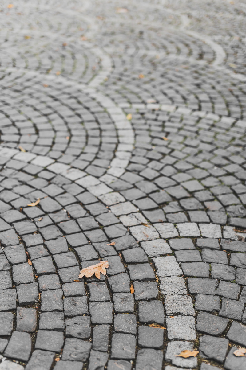35mm, paving stone, city, full frame, sunlight, concentric, street, animal themes, nature, bucharest, animal, simple, textured, 6d, fullframe, no people