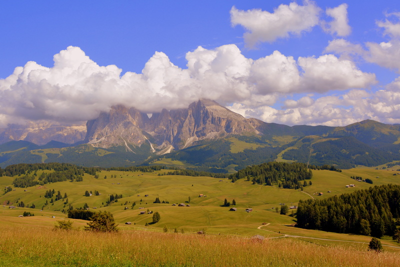 plant, dolomites, sky, clouds, nature, beauty in nature, tree, trees, agriculture, environment, mountain, cloud - sky, no people, mountain range, scenics - nature