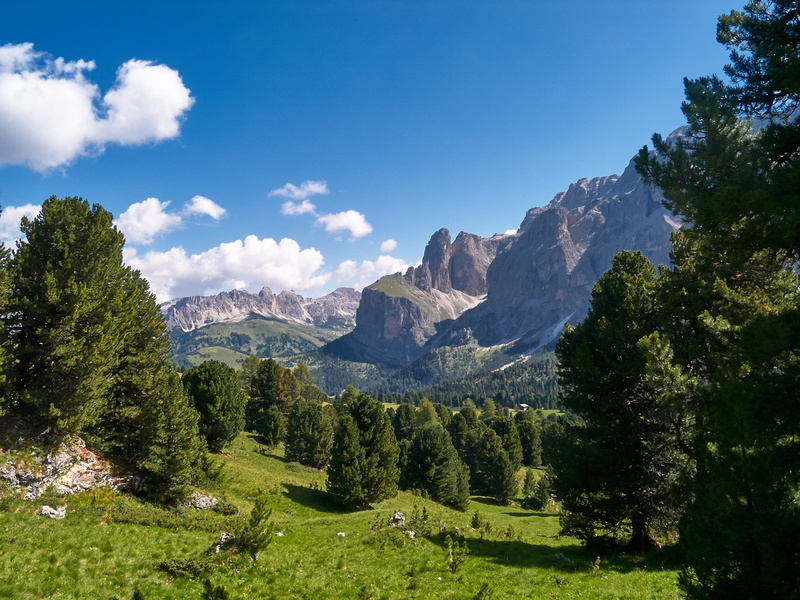tranquility, environment, plant, grass, idyllic, cloud - sky, rock, tree, alpine, 2K, south tyrol, growth, Nature, Forest, mountain, tranquil scene, scenics