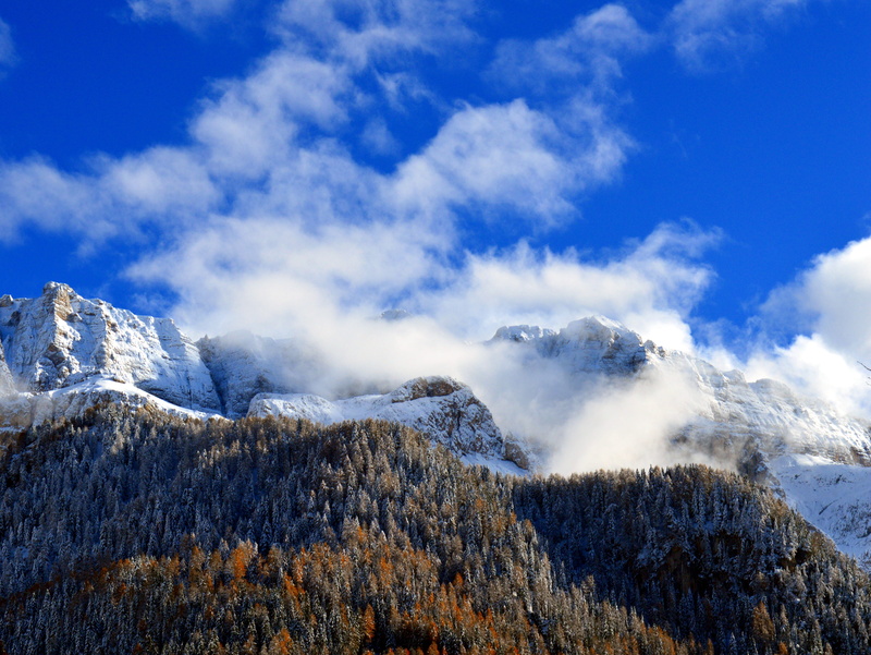 scenics - nature, beautiful, snow, beauty in nature, tranquil scene, tree, winter, white, winter blast, beside, clouds, cold, coniferous tree, mountain peaks