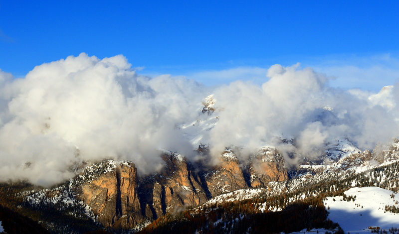 italy, tree, forest, high mountains, cold temperature, sella group, nature, bergwelt südtirol, pine tree, mountain range, south tyrol, beautiful, covered