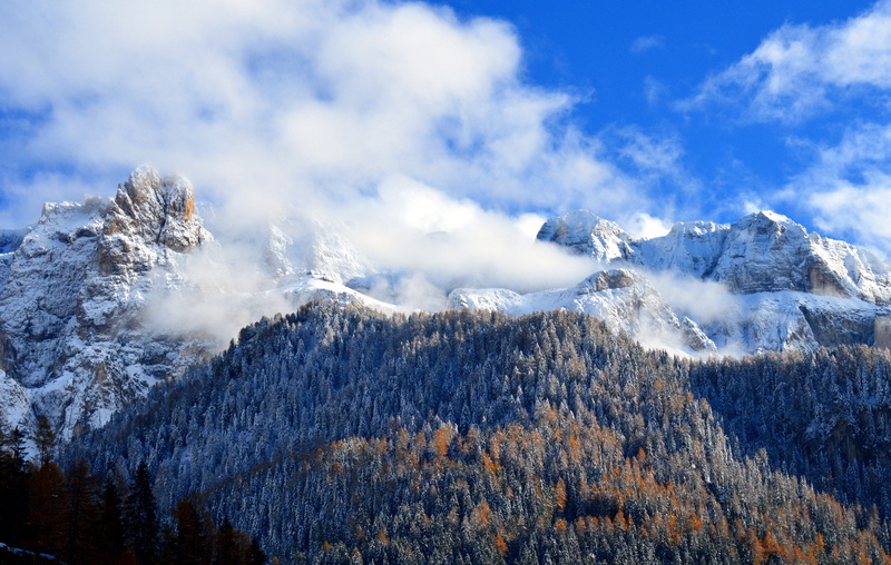 coniferous tree, tranquility, snowcapped mountain, plant, pine tree, alpine, tranquil scene, above, nature, white, photography, winter, mood, trees, south tyrol