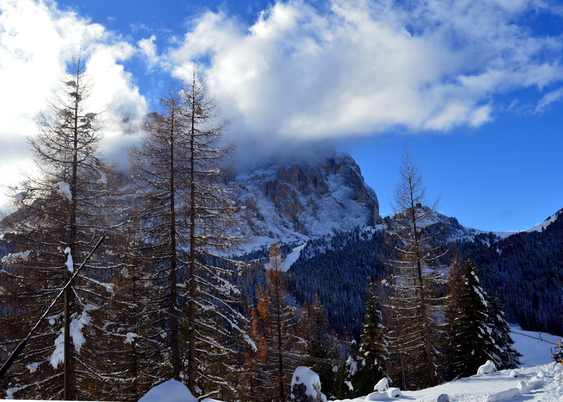 bergwelt südtirol, dolomites, woodland, beauty in nature, forest, panorama, cold temperature, south tyrol, non-urban scene, sella group, blue sky, pine tree