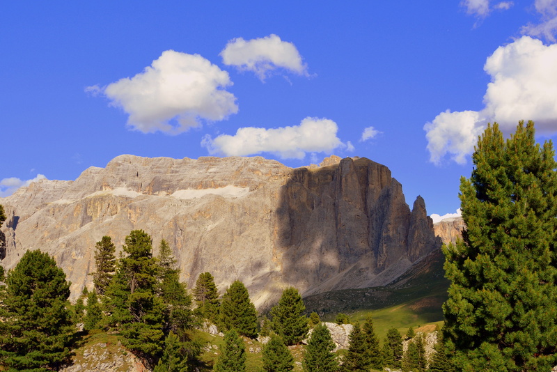 coniferous tree, travel destinations, environment, shadow, landscape, the group of the sella, cloud - sky, 4K, pine woodland, sky, eroded, nature, italy