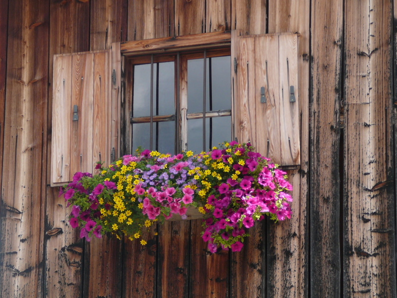 rural, 2K, vulnerability, Finestra, window frame, house, Fiori, flower, building exterior, flowering plant, hut, window box, wood - material, architecture