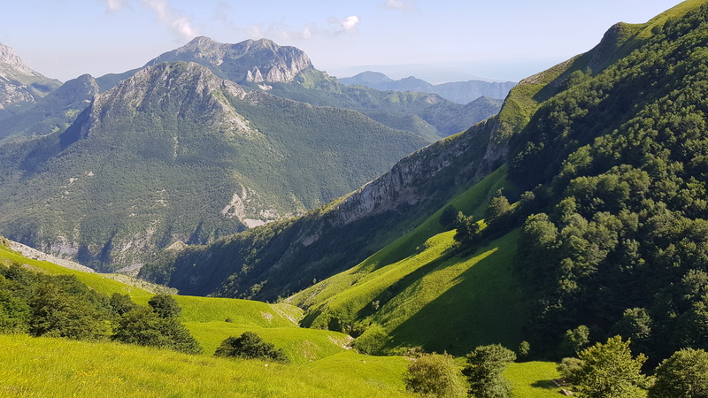 4K, beauty in nature, land, coniferous tree, growth, scenics - nature, panorama, day, nature, remote, landscape, tranquility, italy, mountain range, tree