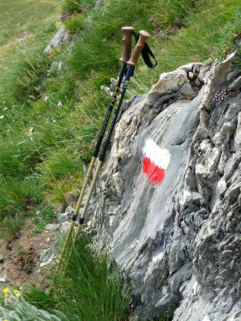 land, hike, gta, rock - object, non-urban scene, patriotism, 4K, alpine, high angle view, grass, signpost, characters, flag, white, grande traversata delle alpi