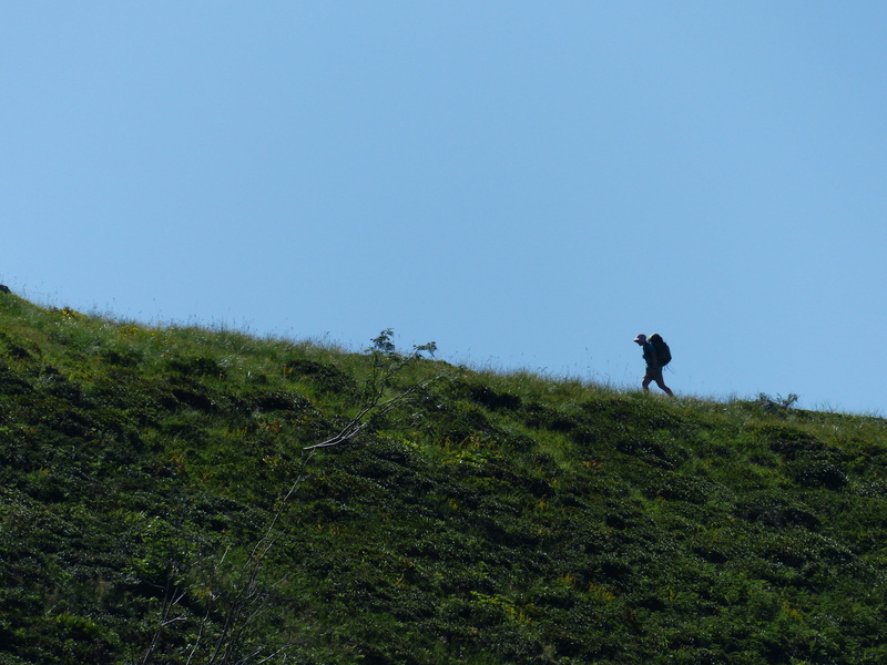 sky, hike, tranquil scene, land, day, backpackers, adventure, gta, walking, hiking, nature, long distance trail, people, leisure activity, grass, backpack