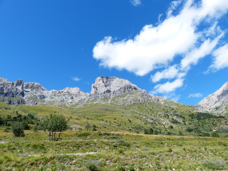 summit, formation, mountain range, plant, rock, tranquil scene, ligurian alps, mongioie, tranquility, maritime alps, alpine, grass, outdoors, mountain