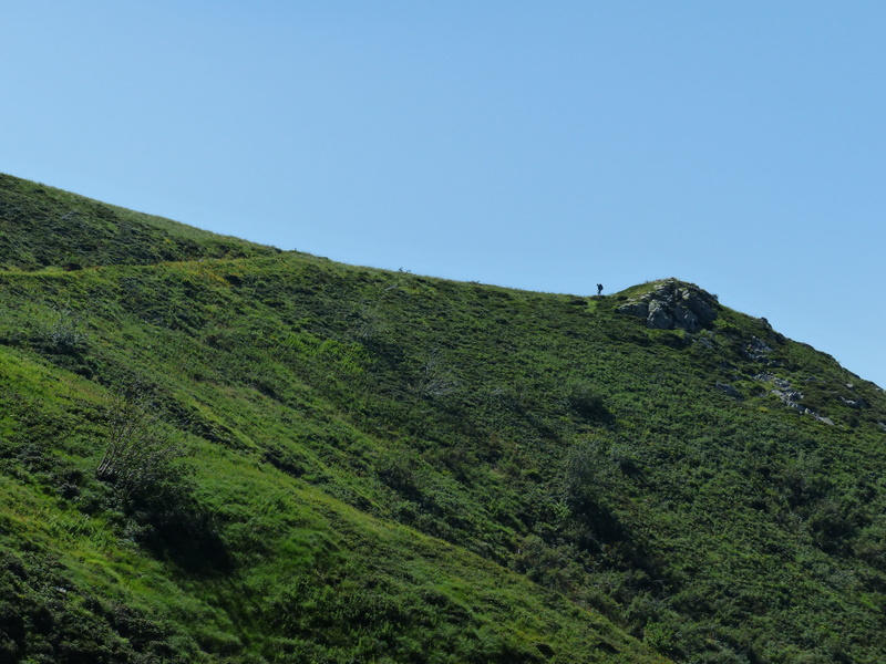 maritime alps, tranquility, no people, green Color, day, scenics, landscape, tree, person, beauty in nature, on the go, clear sky, alpine, summer, hike