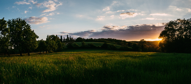 5K, rural scene, toscana, country, no people, tranquil scene, grass, countryside, plant, environment, land, field, forest, springtime, agriculture, italium