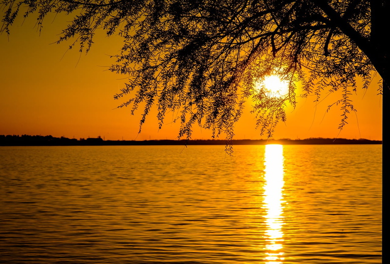 tree, plant, beauty in nature, golden, waterfront, tranquil scene, body, mountain, outdoors, water, ocean, horizon, photo, sunlight, hill, nature, sun