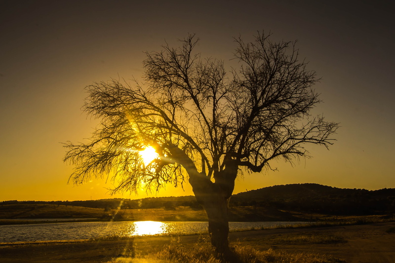 sky, golden hour, land, dusk, nature, front, beach, tranquility, orange color, landscapes, sunset, silhouette, portugal, no People, tranquil Scene, body of water
