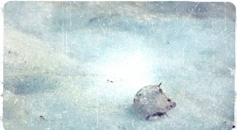 winter, textured effect, neve, ice, Snow, auto post production filter, outdoors, nature, water, Vintage, cold temperature, textured, 1080P, close-up, scratched