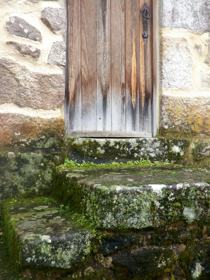 moss, building, no people, porta, house, door, wall - building feature, flowing, plant, casa, wall, entrance, built structure, aldeia, water, old, stone wall