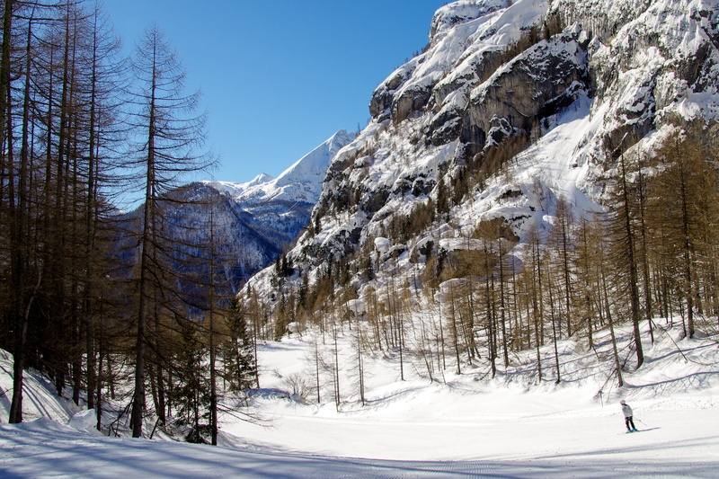2K, tranquil scene, mountain, frozen, beauty in nature, belluno, no people, val of zoldo, forest, mountain range, sky, dolomites, ice, snow, veneto, skiing